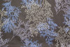 Verhokangas Sypressi, sinisen sävyt-valkoinen