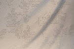 Verhokangas Leflour, valkoinen, läpinäkyvät tekstit, leveys 140cm