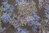 Pöytäliina Sypressi, sinisen sävyt-valkoinen, 140x250cm