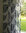 Verhokangas Lehti, 300cm, HUOM. kaksilevyinen kangas