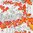 Verhokappa Jälki, oranssi, korkeus 50cm - 60cm, leveydet 100cm - 600cm, kiinnitys valittavissa